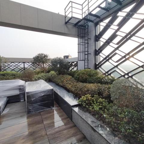 這張照片是一間頂樓花園，花園裡有一個石製水池和一些盆栽植物。